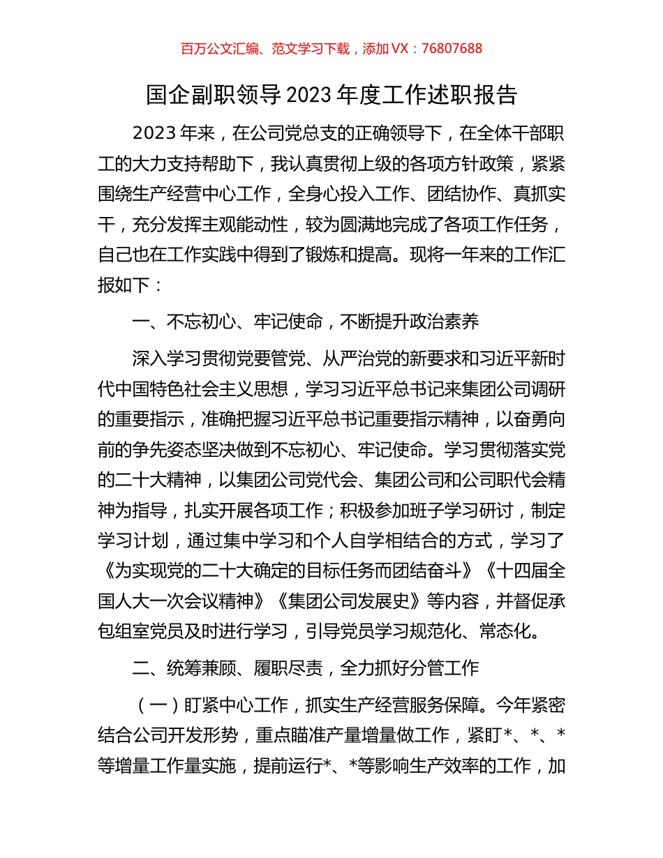 国企副职领导2023年度工作述职报告.docx_第1页