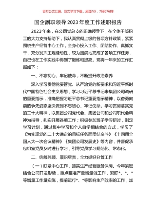 国企副职领导2023年度工作述职报告.docx