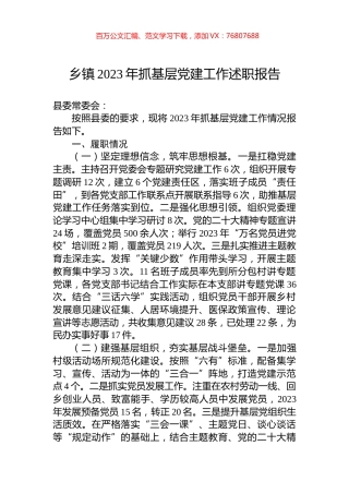 乡镇2023年抓基层党建工作述职报告.docx