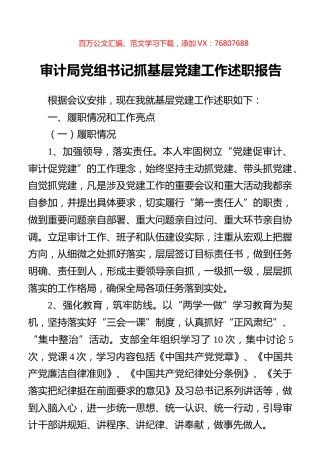审计局党组书记抓基层党建工作述职报告.docx
