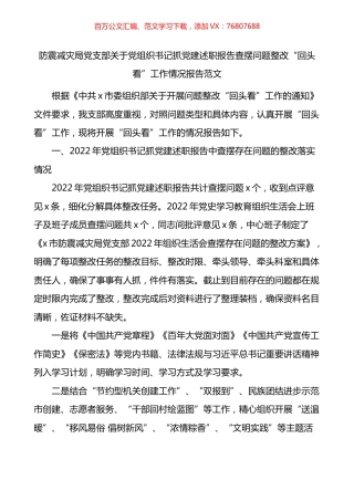 防震减灾局党支部关于党组织书记抓党建述职报告查摆问题整改回头看工作情况报告.docx