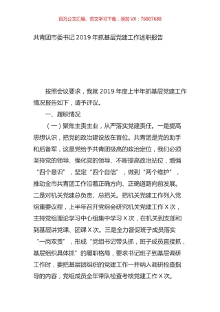 共青团市委书记2019年抓基层党建工作述职报告.doc
