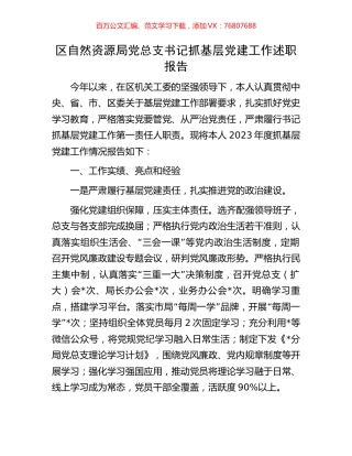 区自然资源局党总支书记抓基层党建工作述职报告.docx