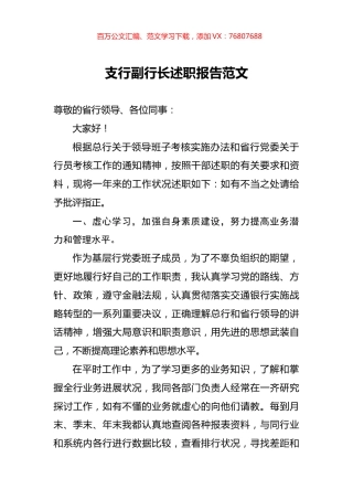 支行副行长述职报告范文.docx