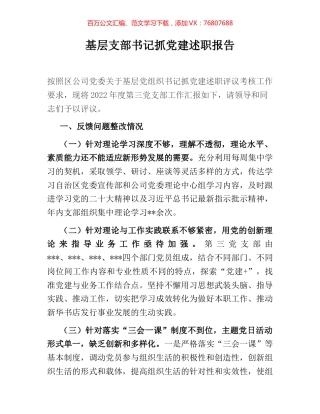 基层支部书记抓党建述职报告.docx