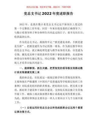 党总支书记2022年度述职报告.docx