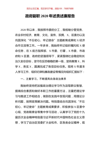 政府副职2020年述责述廉报告.docx