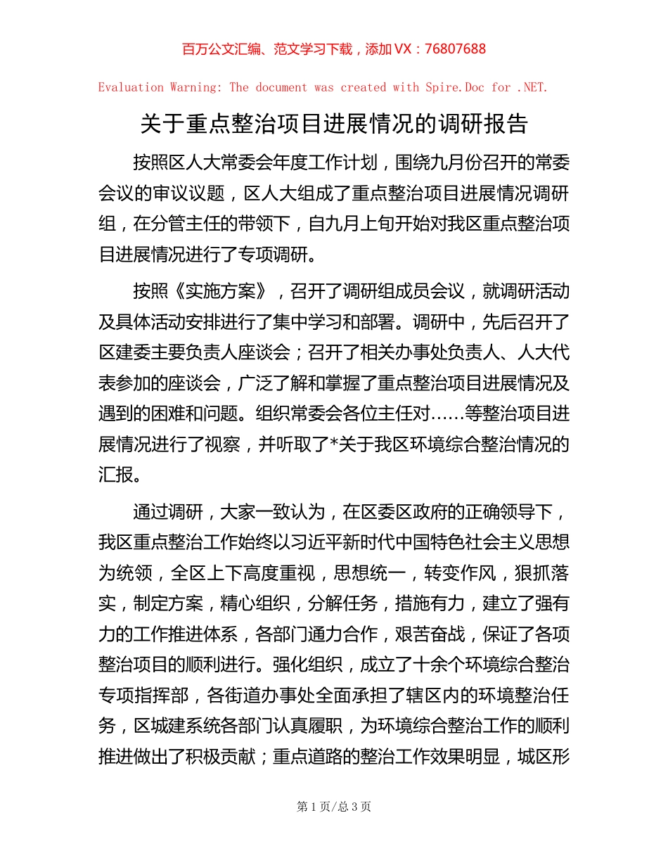 关于重点整治项目进展情况的调研报告.docx_第1页