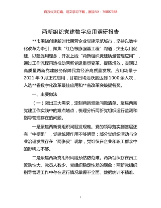 -两新组织党建数字应用调研报告.docx