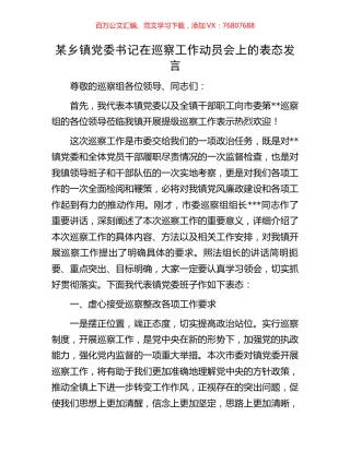 某乡镇党委书记在巡察工作动员会上的表态发言.docx