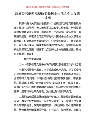 政法委书记巡视整改专题民主生活会个人发言提纲.docx