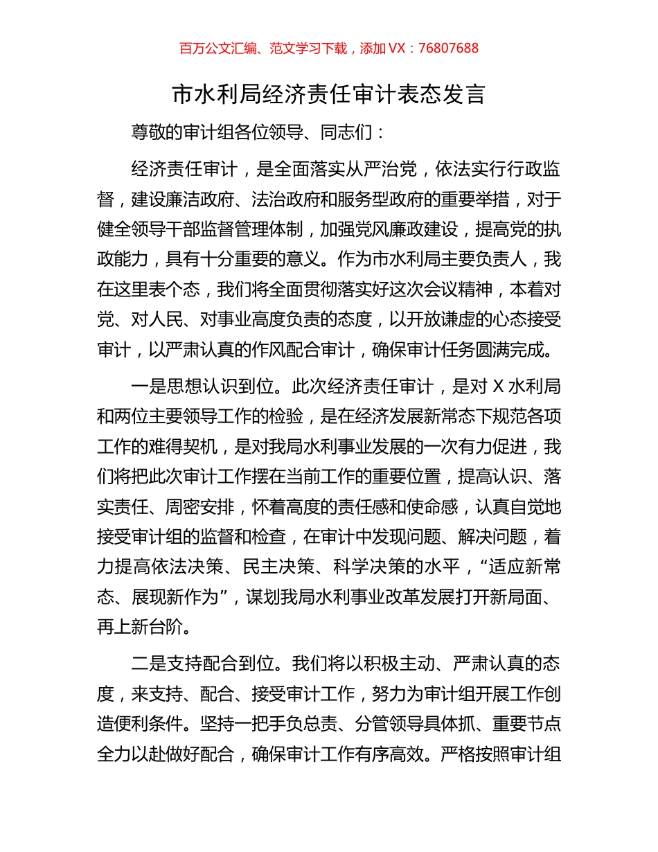 市水利局经济责任审计表态发言.docx_第1页