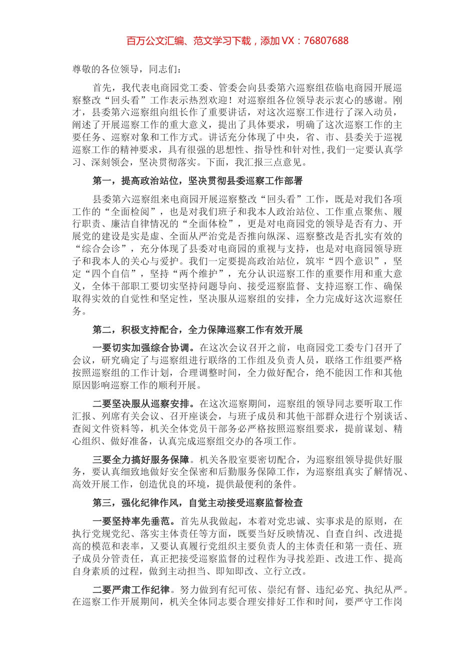 电商园在巡察整改动员会上的表态发言.docx_第1页