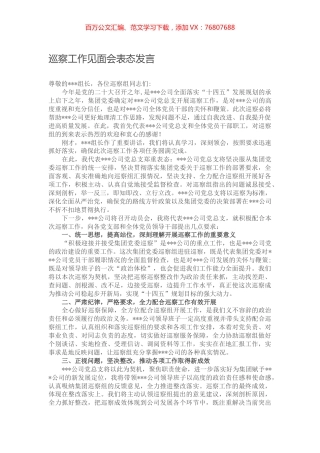 巡察工作见面会表态发言.docx