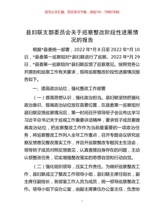 县妇联支部委员会关于巡察整改阶段性进展情况的报告.docx