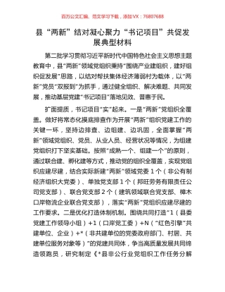 县“两新”结对凝心聚力“书记项目”共促发展典型材料.docx