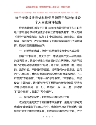 20221004班子考察提拔县处科级党员领导干部政治建设个人自查自评报告.docx