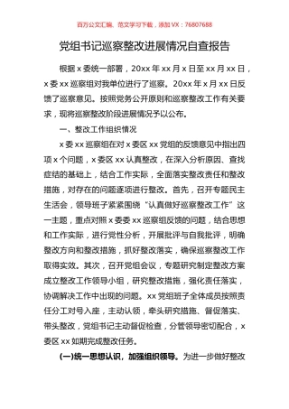 党组书记巡察整改进展情况自查报告.docx