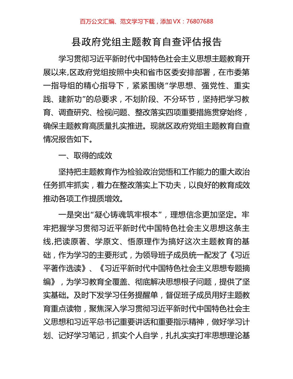 县政府党组主题教育自查评估报告.docx_第1页