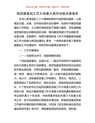 局党建基础工作大排查大规范自检自查报告.docx