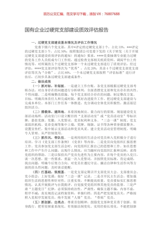 国有企业过硬党支部建设质效评估报告.docx