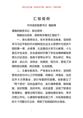 汇 报 提 纲.docx