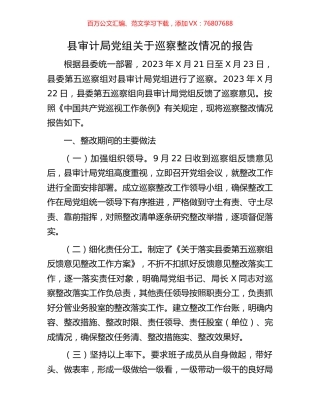县审计局党组关于巡察整改情况的报告.docx