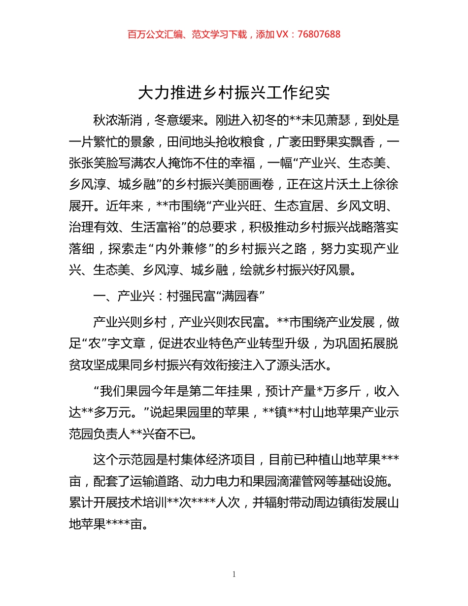 -大力推进乡村振兴工作纪实.docx_第1页