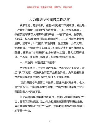 -大力推进乡村振兴工作纪实.docx