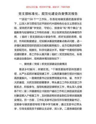 党支部标准化、规范化建设自查情况报告.docx