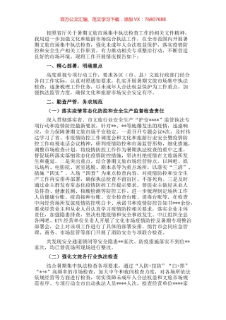 文化和旅游局关于开展暑期文旅市场集中执法检查工作情况的报告.docx