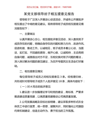 某党支部领导班子相互提意见报告.docx