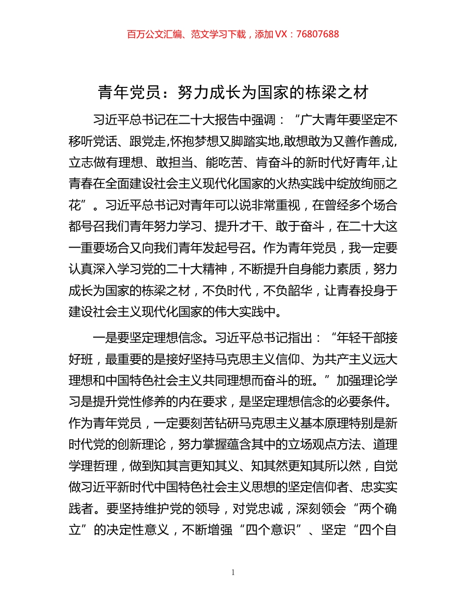 -青年党员：努力成长为国家的栋梁之材.docx_第1页