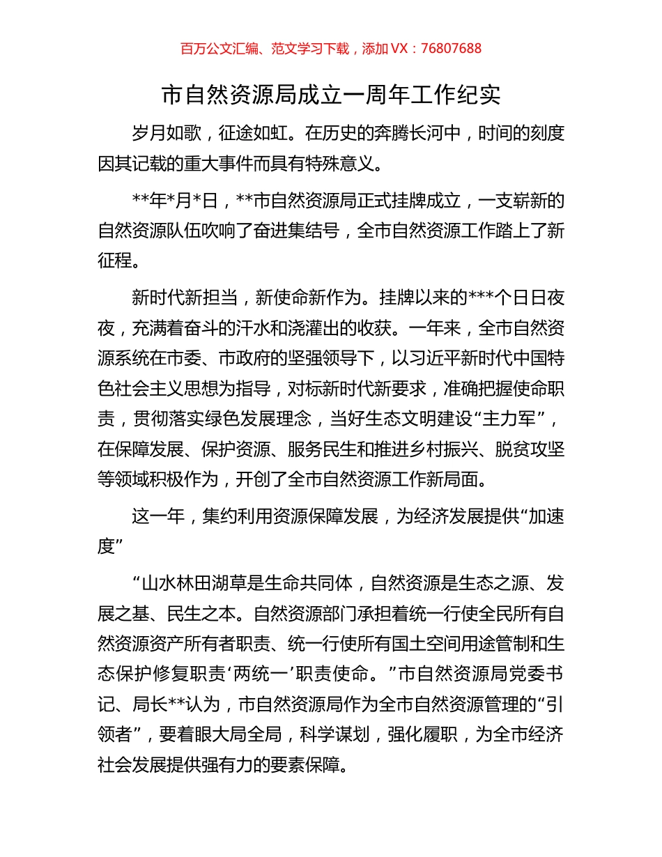 市自然资源局成立一周年工作纪实.docx_第1页