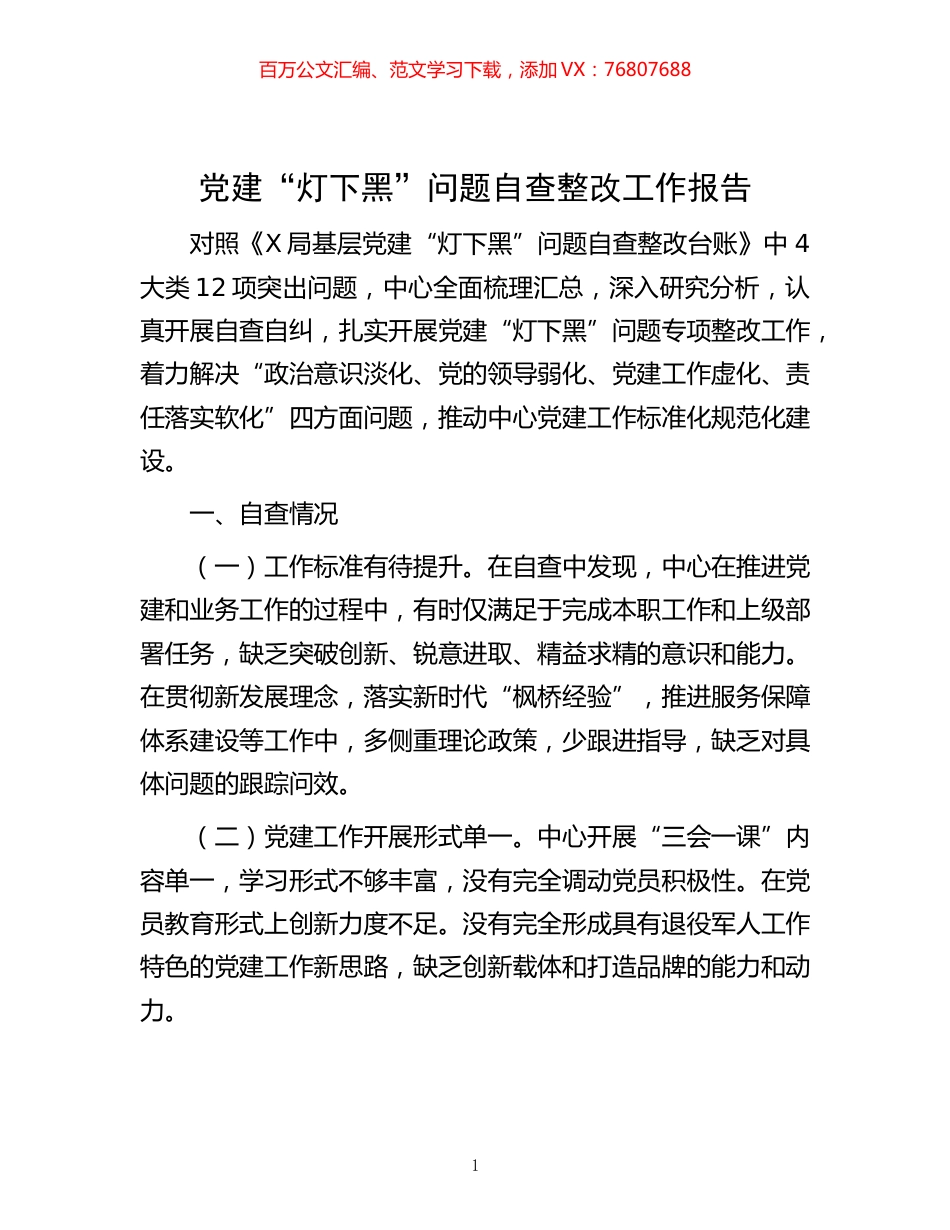 -党建“灯下黑”问题自查整改工作报告.docx_第1页