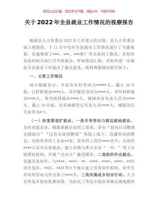 关于2022年全县就业工作情况的视察报告.docx