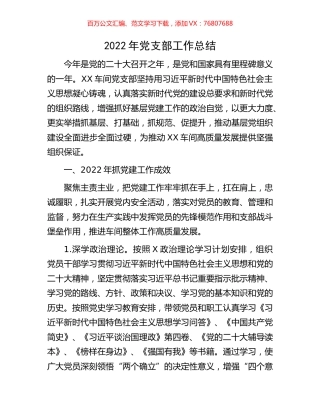 2022年党支部工作总结.docx