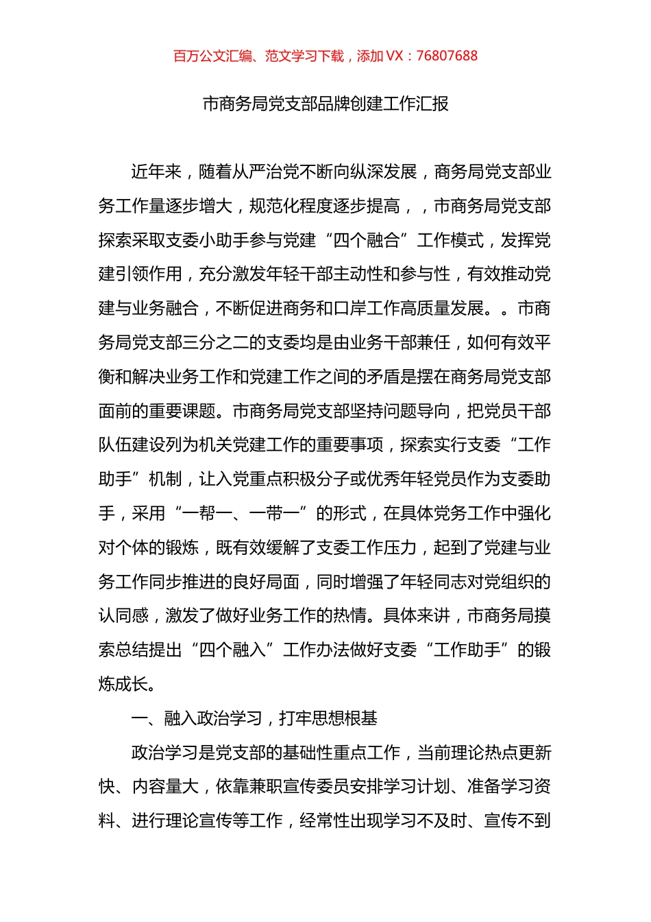 市商务局党支部品牌创建工作汇报.docx_第1页