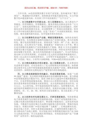 数字乡村产业发展工作汇报.docx