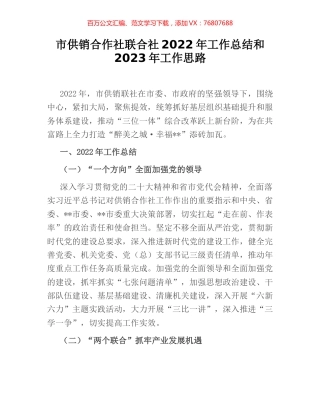 市供销合作社联合社2022年工作总结和2023年工作思路.docx