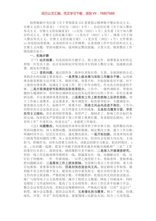 深入整治形式主义官僚主义工作总结报告.docx