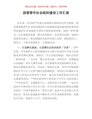 团委青年社会组织建设工作汇报.docx