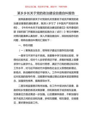 某乡乡长关于党的政治建设自查自纠报告.docx