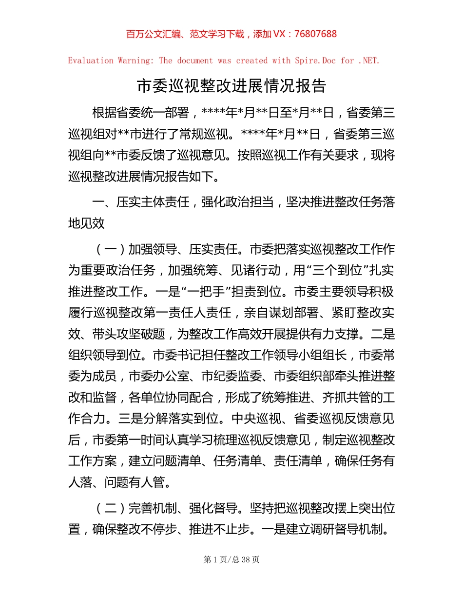 市委巡视整改进展情况报告.docx_第1页