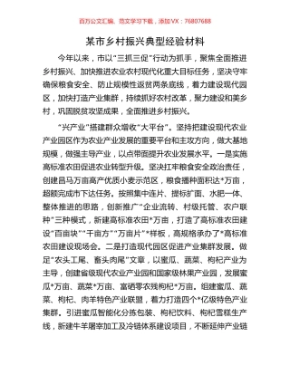 某市乡村振兴典型经验材料.docx