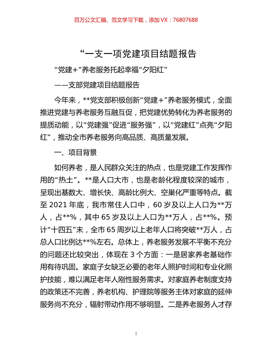 -“一支一项党建项目结题报告.docx_第1页