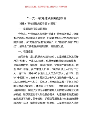 -“一支一项党建项目结题报告.docx