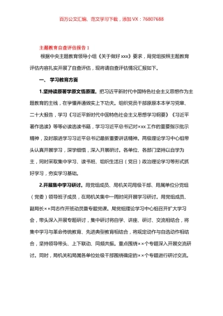 主题教育自查评估报告1.docx
