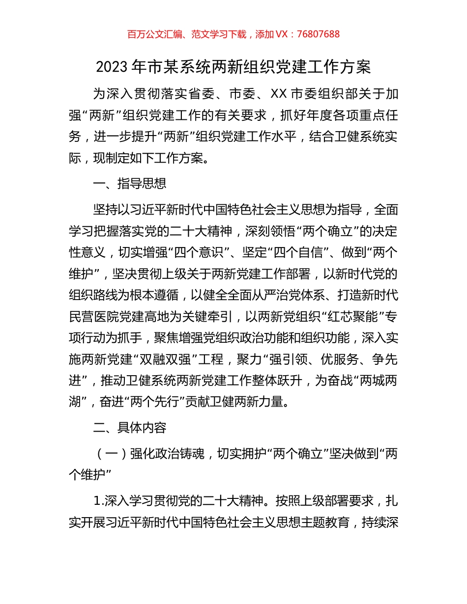 2023年市某系统两新组织党建工作方案.docx_第1页