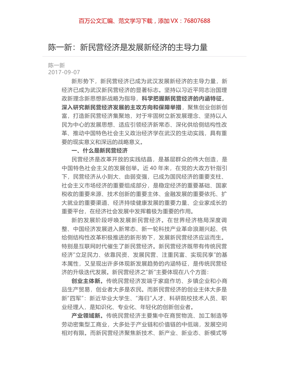 陈一新：新民营经济是发展新经济的主导力量.docx_第1页